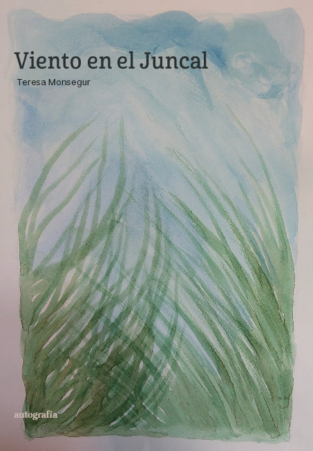 Viento en el Juncal
