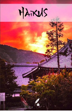 Haikus