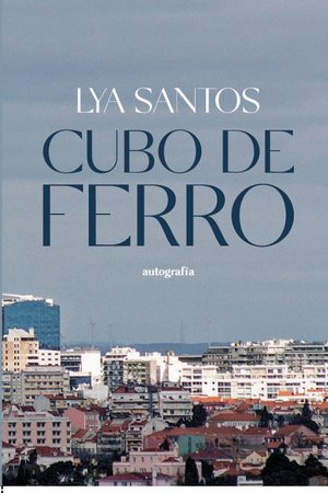 Cubo de ferro